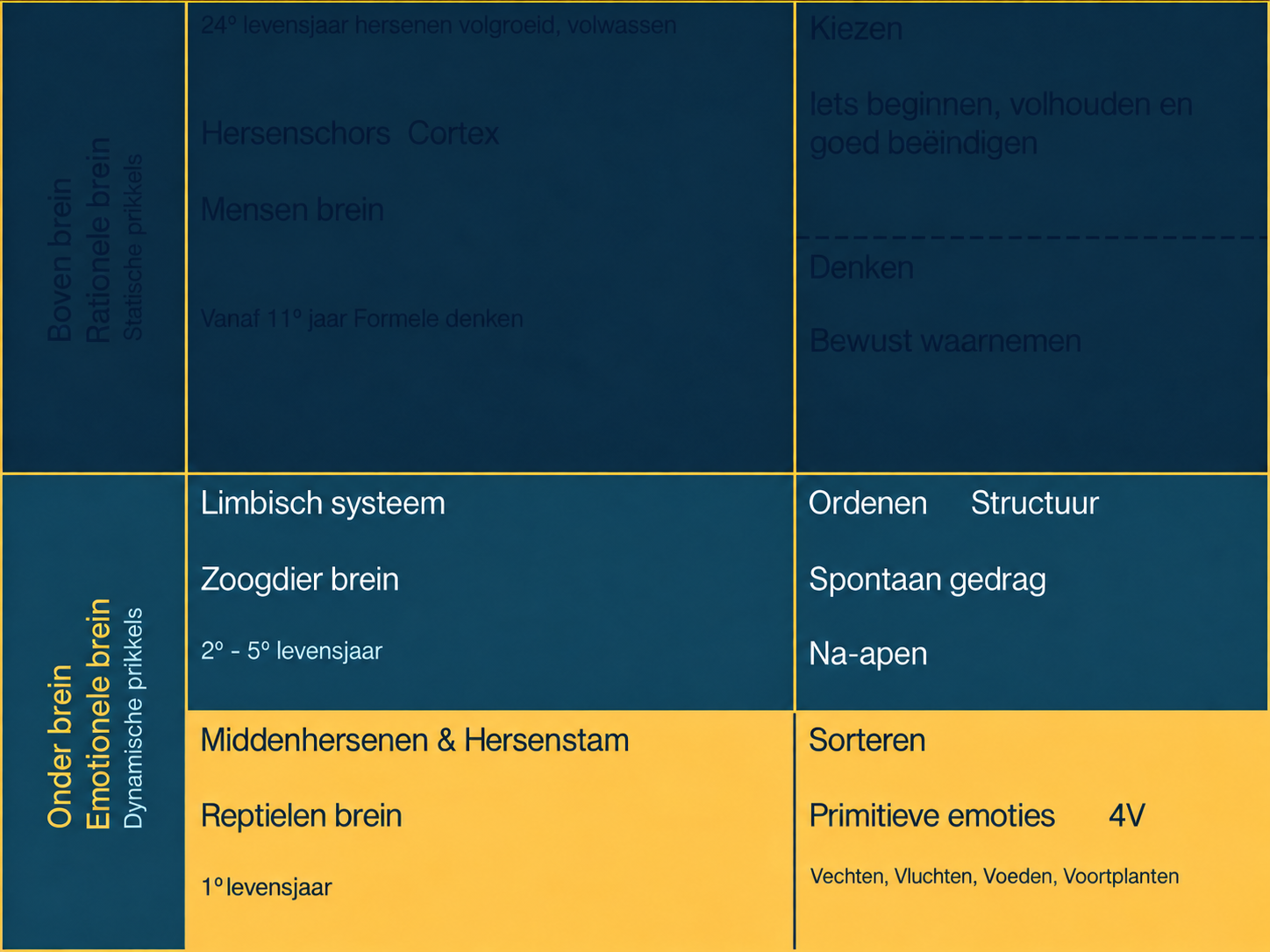 Hersenenschema met bijna onleesbare donkerblauwe tekst in het bovenbrein en duidelijk leesbare tekst in het onderbrein.